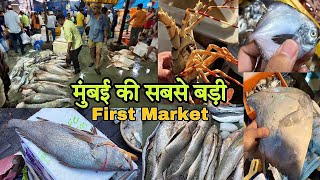 मुंबई का सबसे सस्ता Fish Market 2023  Cst Fish Market  Biggest Wholesale Fish Market Mumbai [upl. by Costa]