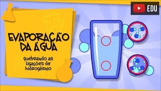 Evaporação da Água  moléculas ao vento [upl. by Kingston]