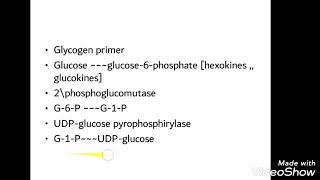 Biochemistry glycogen metabolism 🔥 شرح سهل ومبسط وجميل [upl. by Furnary]