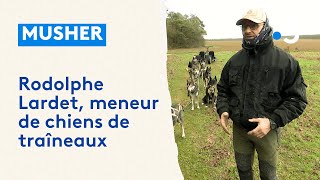 Rodolphe Lardet le musher meneur de chiens de traîneau dans la Marne [upl. by Anerual884]