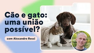 Como socializar gatos com cães Alexandre Rossi explica  Petz TV Comportamento [upl. by Dibrin796]