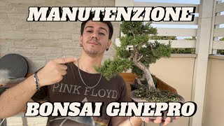 Manutenzione su Ginepro [upl. by Ahsan]