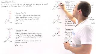 Basic and Acidic Amino Acids [upl. by Essyla]