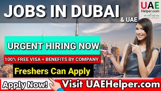 Latest jobs in dubai UAE for fresher 2024 [upl. by Helga309]