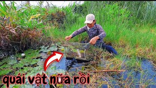 Quá Khủng Khiếp Quái Vật Vô Lờ Cá Bung Cả Cây Cái Kết [upl. by Coral104]