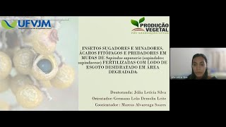 Insetos sugadores e Minadores ácaros Fitófagos e Predadores em Mudas de Sapindus saponaria [upl. by Alanah617]