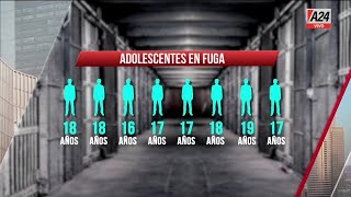 🚨 Adolescentes en fuga los buscan casa por casa en La Plata [upl. by Wolfie]