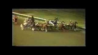 Harness Horse Racing accident from Los Alamitos California [upl. by Zetrac]