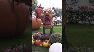 Halloween in EuropaPark und Rulantica  neues Video vom Quadruvium Club shorts [upl. by Fuld405]