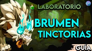 GUÍA  COMO ENTRAR AL LABORATORIO DE BRUMEN TINCTORIAS Dofus 2 Cap 32 [upl. by Lleznod]