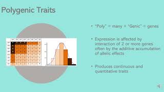 Heterogenic vs Polygenic Traits [upl. by Jacoby770]