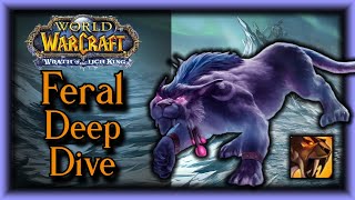 WOTLK Classic  Feral Druid Deep Dive  The Classic Life EP 21 w Smashpaw Rugs amp Nerdegghead [upl. by Fancie928]