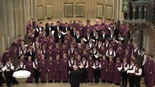 Knabenchor capella vocalis amp Nidarosdomens Guttekor quotAve maris stellaquot Edvard Grieg Stuttgart 2015 [upl. by Siskind]