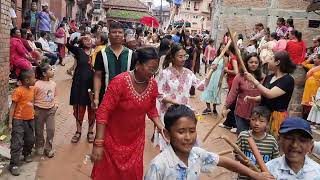 Gai Jatra 2081  Gai Jatra Bhaktapur  Gaijatra Festival  Saparu [upl. by Adyela252]