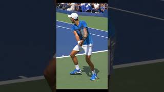 Novak Djokovic Backhand Slow Motion [upl. by Hughmanick647]