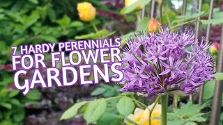 7 Hardy Perennials for Flower Gardens [upl. by Torosian]