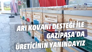 ARI KOVANI DESTEĞİ İLE GAZİPAŞADA ÜRETİCİNİN YANINDAYIZ [upl. by Milissent974]