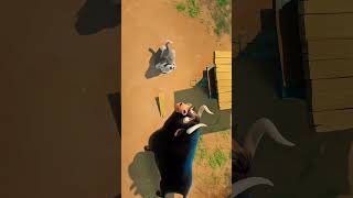 Cartoon video mogali cartoon youtube cartonshortvideo cartoon youtubeshorts mogali junglebook [upl. by Einej723]