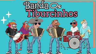 ESPECIAL BANDA OS TIBURCINHOS [upl. by Kevan]