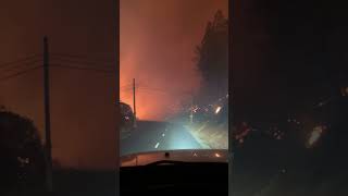 Wildfire Evacuation Navigate Winding Roads [upl. by Inalaeham67]