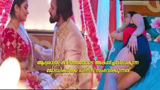 ആദ്യരാത്രിയിലെ ട്വിസ്റ്റ്  Web Series Explained In Malayalam [upl. by Ecineg765]