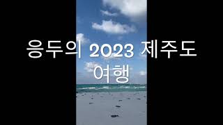 응두의 2023 제주도 여행 1탄 [upl. by Marigold942]