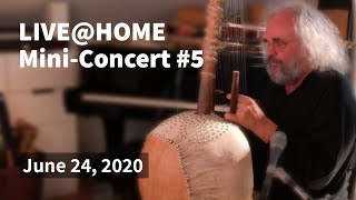 Andreas Vollenweider  LIVEHOME  Mini Concert 5  24062020 [upl. by Ennis]