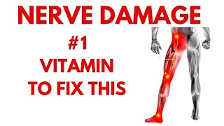 Repair Your Damaged Nerve with Just 1 Vitamin [upl. by Brindell752]