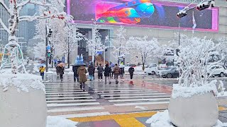 Snowy GWANGHWAMUN Nov 27 2024 The First Heavy Snowfall in Seoul 4K Seoul Korea Walk [upl. by Yrocej]