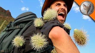 EXTREME Cactus Attack [upl. by Anyar]