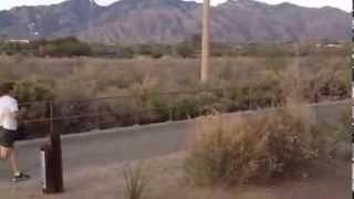 Workout at the Rillito River Park Trail [upl. by Ahsratal]