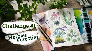 Challenge Les secrets de la foret  1 Herbier forestier [upl. by Yc]