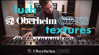 lush OBERHEIM OBX8  Strymon soundscapes [upl. by Ledua]