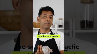 Lactofermentation explained in 20 secs probiotics fermented foodscience kitchenhacks [upl. by Nosa412]