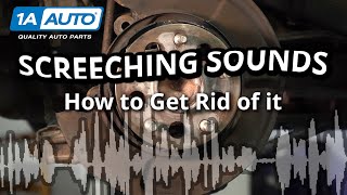 Screeching Sound When Braking in Reverse Simple Steps to Get Rid of the Noise in Your Car or Truck [upl. by Pitt]