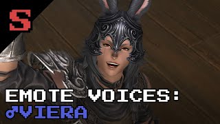 FFXIV Emote Voices Male Viera [upl. by Aynekat350]