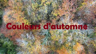 Couleurs dautomne en forêt Normande vue par un drone [upl. by Wayland]