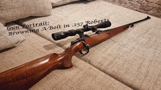 Browning ABolt in 257 Roberts Gun Portrait [upl. by Teuton]