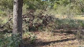 Camouflage Ghillie Suit Demo  Can You Find Him ad ghilliesuit hunting huntinggear camoflauge [upl. by Maddi]