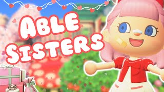 VALENTINES FAIRY CORE TOWN CORE ISLAND  ACNH ABLE SISTERS BUILD  ANIMAL CROSSING NEW HORIZONS [upl. by Olimpia356]