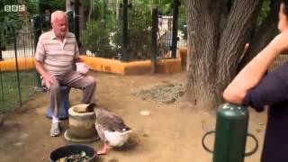 animal odd couples Full documentary 2013 [upl. by Marceau]