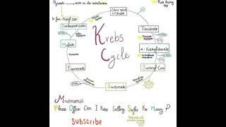 Krebs Cycle TrickBio [upl. by Oam586]