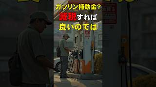 【気になるニュース】ガソリン補助金？ 減税すれば良いのでは [upl. by Adriana]