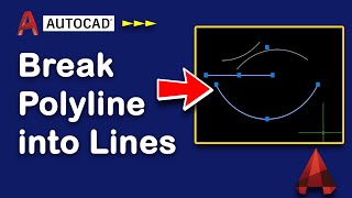 How to break polyline into lines and segments in AutoCAD [upl. by Hessney]