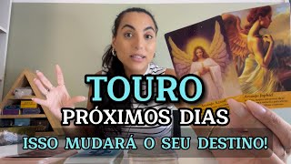 ♉️TOURO ☀️ Sua Alma Te Fará Um Grande Chamado [upl. by Larena]