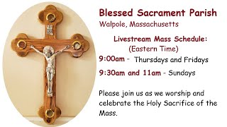 Catholic Daily Mass  November 15 2024  9am [upl. by Frierson]