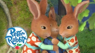 Peter Rabbit  Flopsy and Mopsy Teach Peter a Lesson  Cartoons for Kids [upl. by Gram]