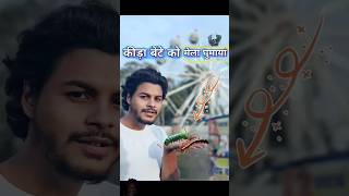 कीड़ा🐛बेटे को मेला🤩घुमाया comedy insect [upl. by Erny]