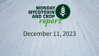 Monday Mycotoxin and Crop Report for December 11 2023 [upl. by Midan]