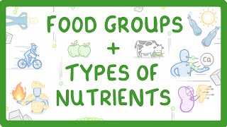 GCSE Biology  What are Nutrients Carbohydrates Lipids Proteins Vitamins amp Minerals 15 [upl. by Efinnej527]